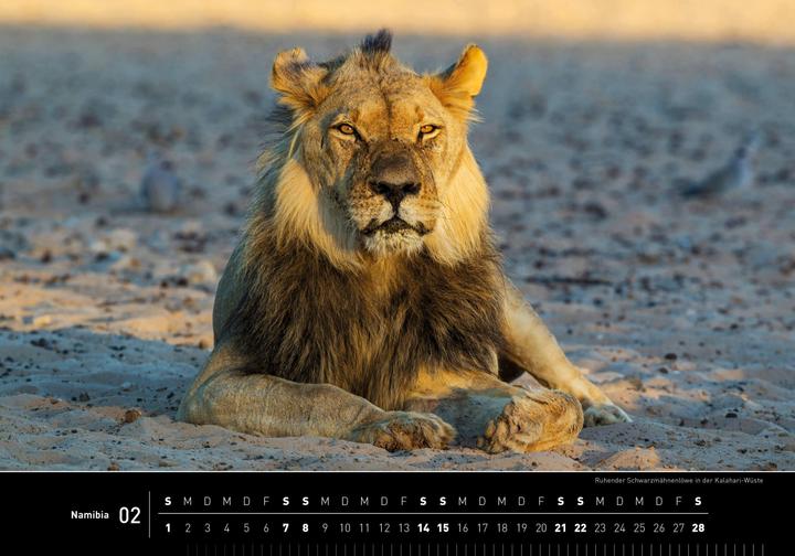 Produktbild Namibia Premiumkalender 2026 (50 x 35 cm, Harter Einband, Deutsch)