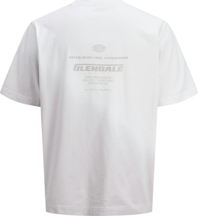 Image du produit Jack & Jones Colour Blocking T-shirt Junior T-shirt (164)
