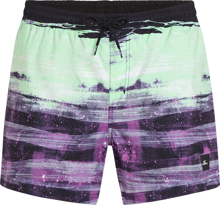 O'Neill Cali Gradient 15" Swimshorts