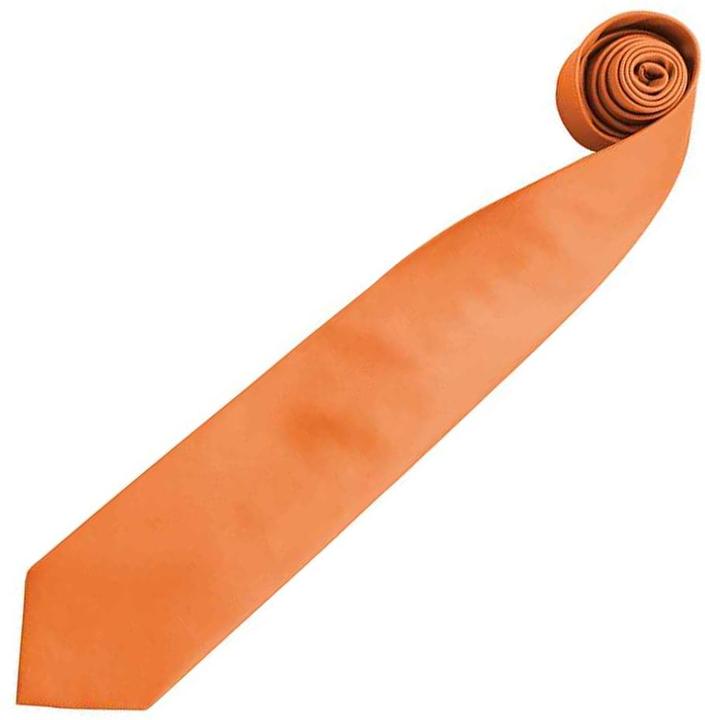 Image du produit Premier Cravate Colours unie