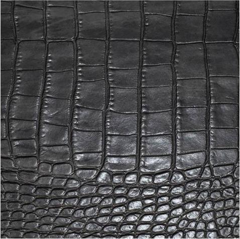 Image du produit Daff Dessous de verre Gator 10x10 cm (Dessous de poêle)