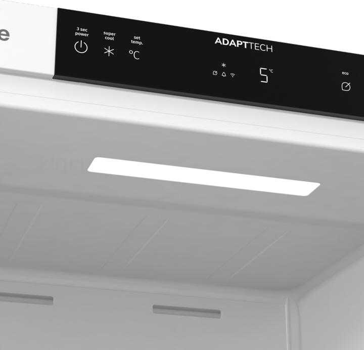 Produktbild Gorenje RI517E41WF (300 l)