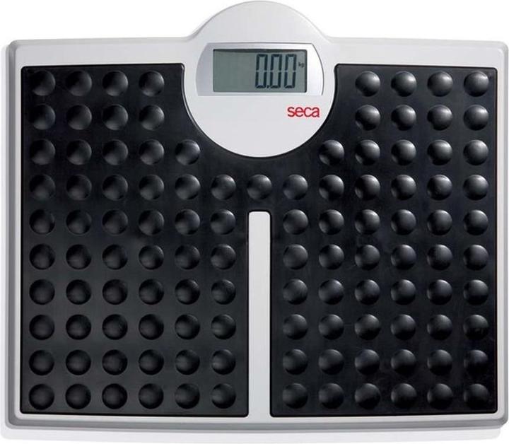 Seca Robusta 813 - Personenwaage (200 kg)