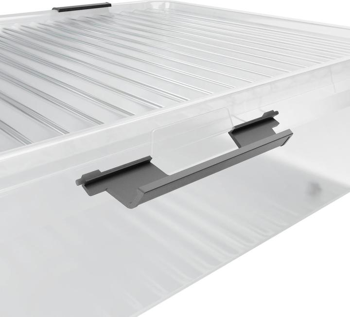 Immagine prodotto Deuba Aufbewahrungsbox (60 x 40 x 17 cm, 24 l)