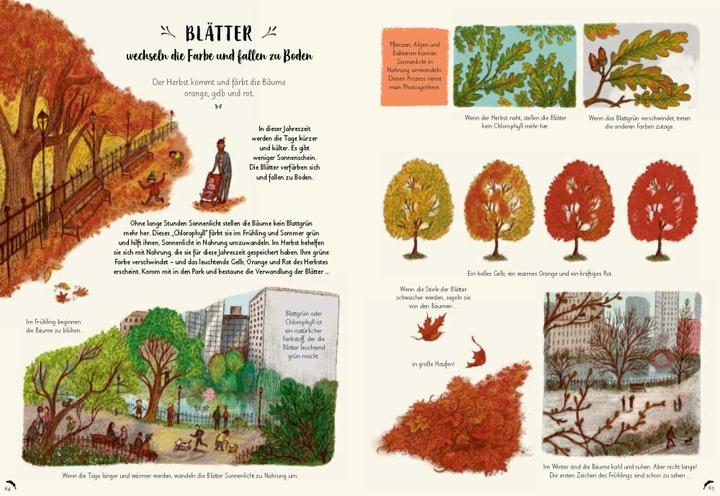 Produktbild Wunder der Natur zum Innehalten und Staunen (Deutsch, Freya Hartas, Rachel Williams, 2020)