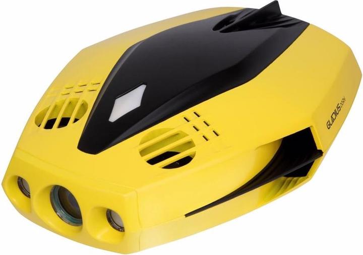 Image du produit Chasing Dory