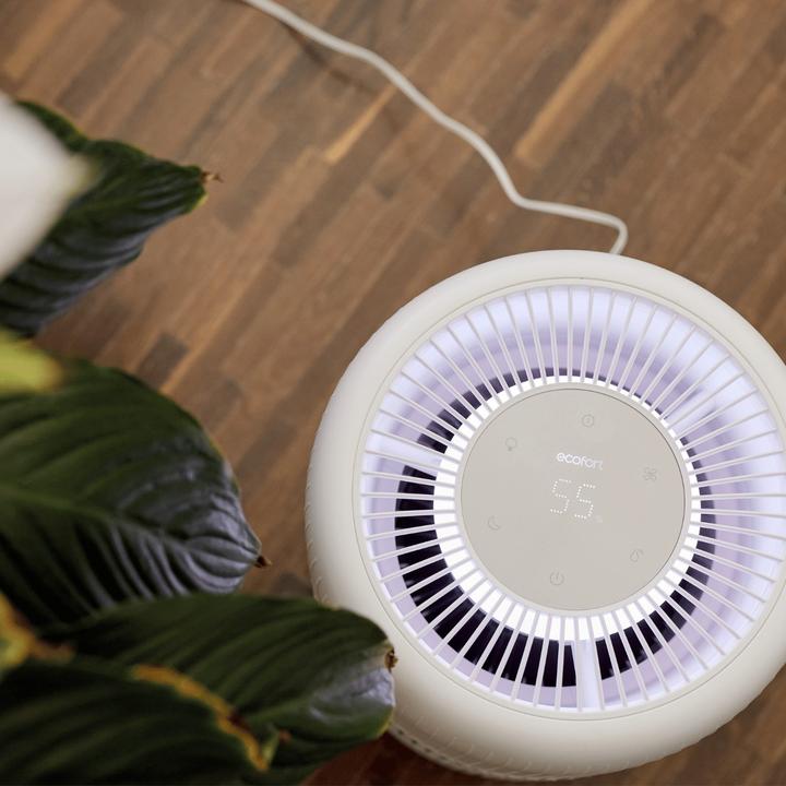 Actual product image ecofort ecoQ HumidAir E600+ (80 m²)