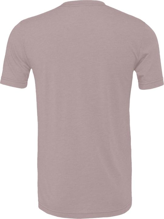 Actual product image Bella Canvas Cvc Tshirt Adults (XS)