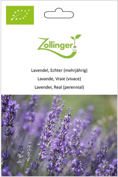 Zollinger Bio Lavanda, vera (perenne) (Germogli)