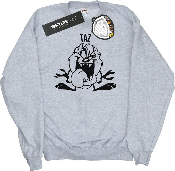 Looney Tunes Taz Large Head Sweatshirt (XL)