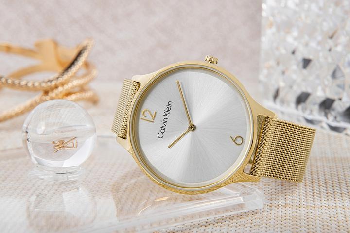 Produktbild Calvin Klein Timeless Mesh Damenuhr 25200003 + BOX (Analoguhr)