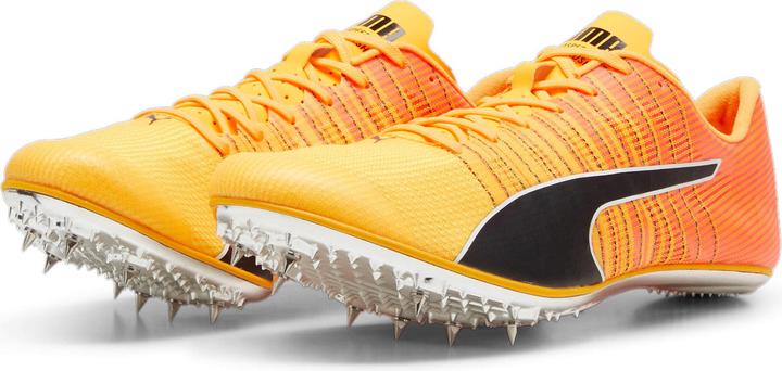 Produktbild Puma evoSPEED BRUSH 6 (45)