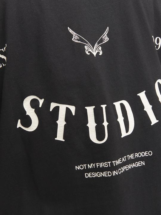 Image du produit Jack & Jones Joraustin Font Tee Ss C.N Styd Aw24 (XL)