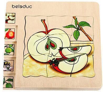 Actual product image Beleduc Apple (30 pieces)