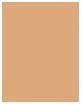 Actual product image Maybelline New York Face Studio (200 Medium Cool, Bronzer, 8 g)