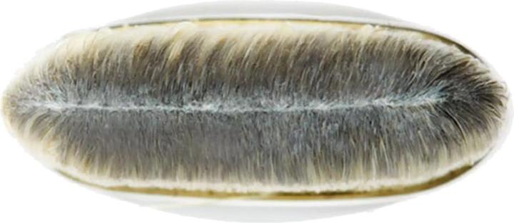 Actual product image MAC Cosmetics 190 Foundation Brush (Foundation)