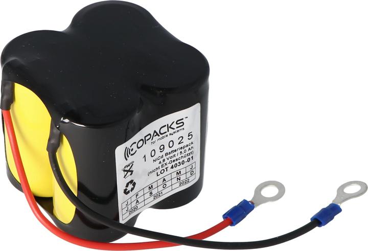 Actual product image AccuCell Akku Ceag CW270