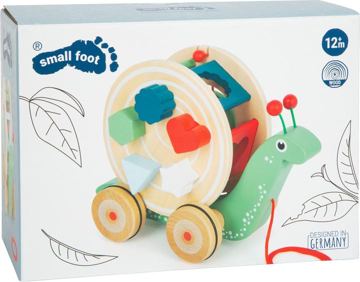 Actual product image small foot snail