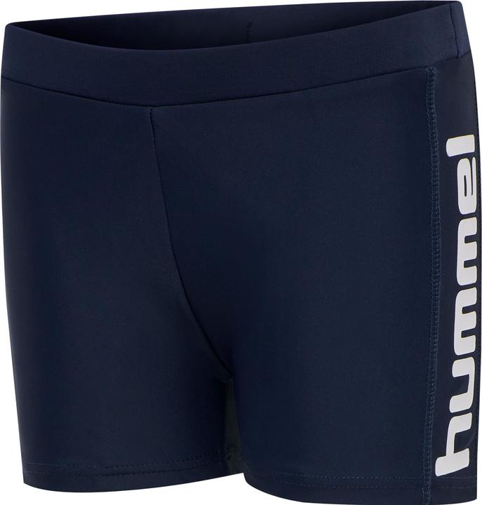 hummel David Swim Shorts (110)
