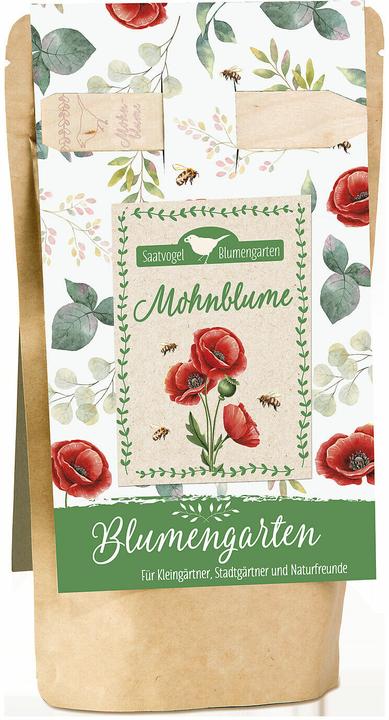Mohnblume