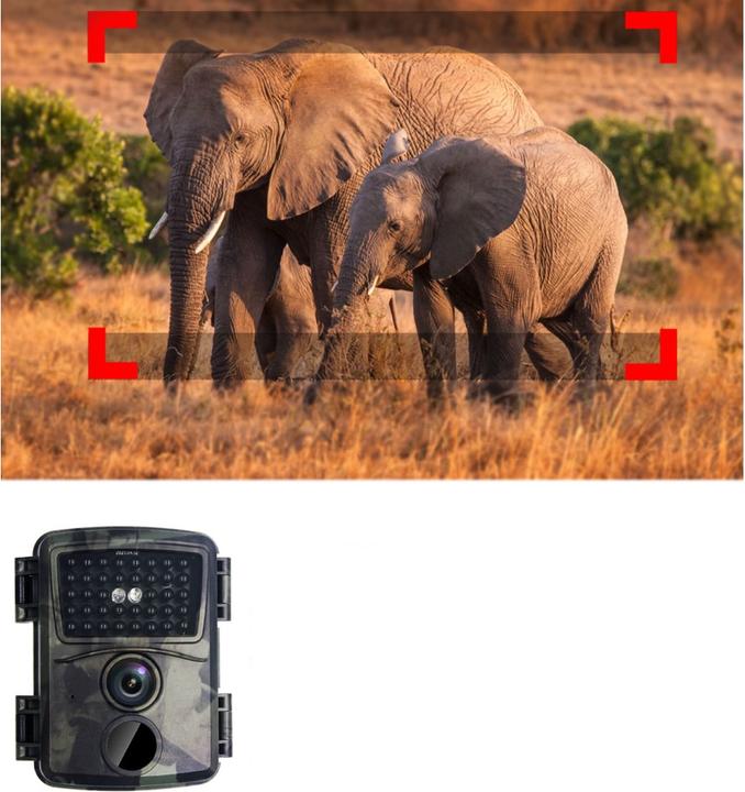 Image du produit Werkstein Mini Wildtier Kamera, 12MP, Nachtsicht