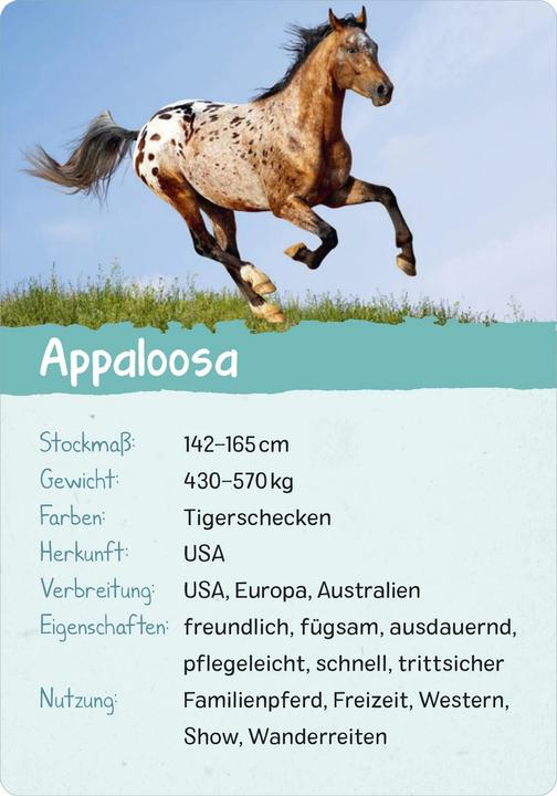 Produktbild Naturforscher-Kids – Pferde & Ponys (Deutsch, Miriam Scholz, 2024)