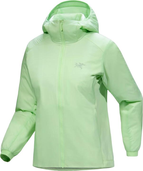 Arc'teryx Atom Hoodie
