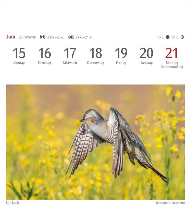Immagine prodotto Harenberg Heimische Vögel Postkartenkalender 2026 - Wochenkalender mit 53 Postkarten (Tedesco)