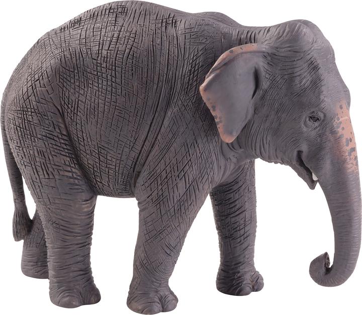 Produktbild Animal Planet Asiatischer Elefant