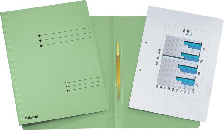 Actual product image Esselte Document file (A4, 1 x)
