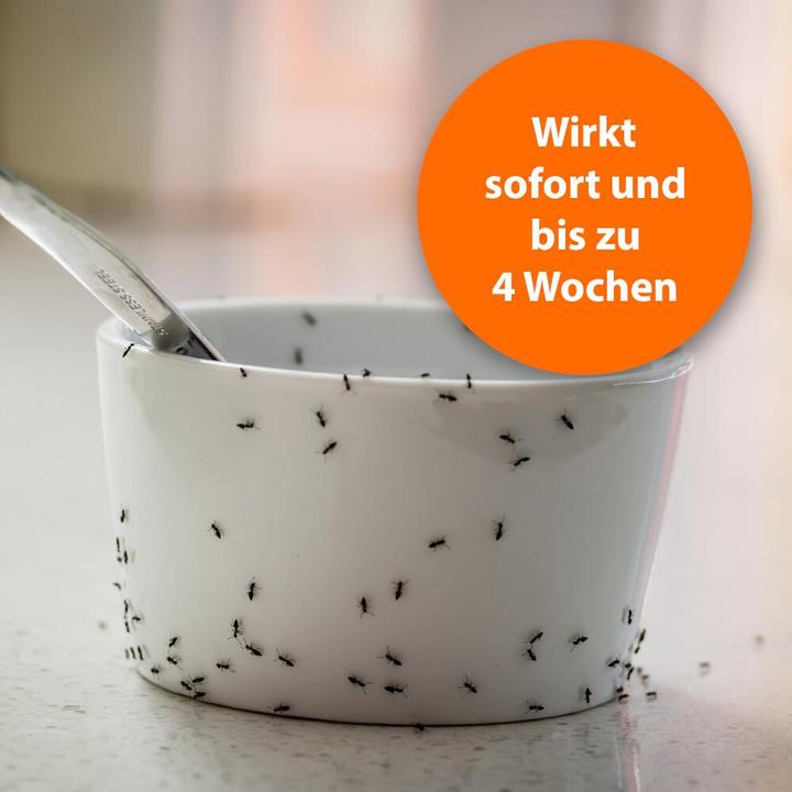 Produktbild Ardap Ameisenspray Zerst. (500 ml)
