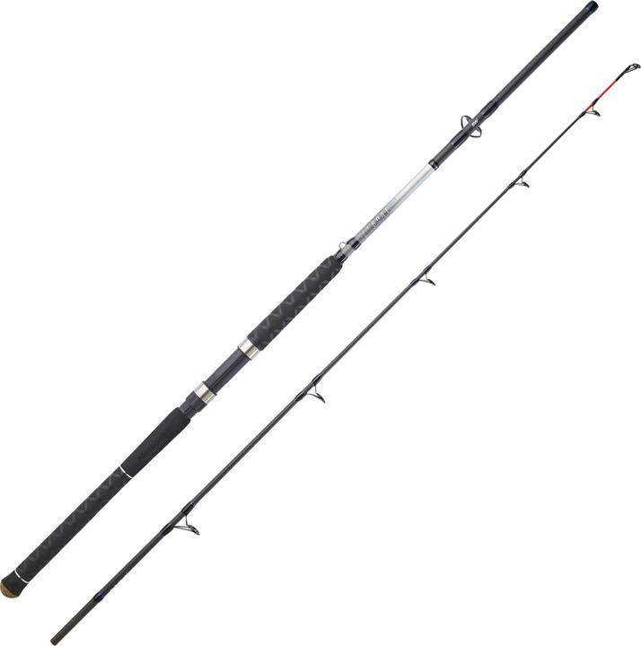 Immagine prodotto Caperlan SEABOAT 500 210 POWER (Cast, 210 cm)