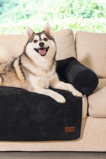 Image du produit Designed by Lotte Coussin de canapé Ribbed (Chien)