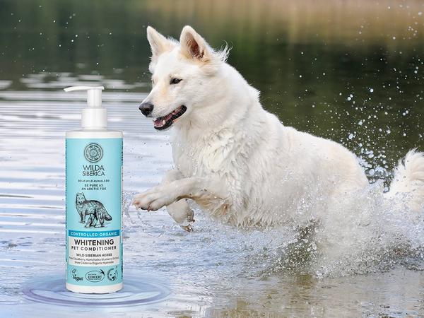 Image du produit Wilda Siberica après-shampooing WHITENING, 5 l (5000 ml)