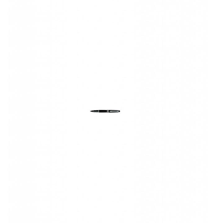 Produktbild Waterman Expert (Schwarz, Silber, 1 x)