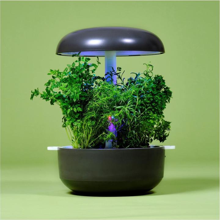Immagine prodotto Plantui Giardino intelligente 6 (29 cm)
