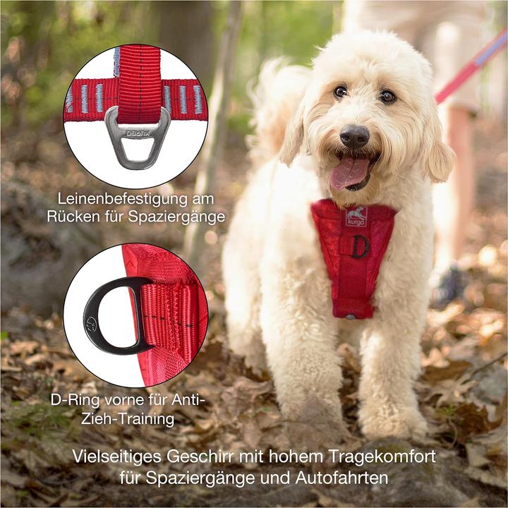 Image du produit Ruffwear Harnais pour chien Web Master red Taille Tour de poitrine (L, Chien, Général)