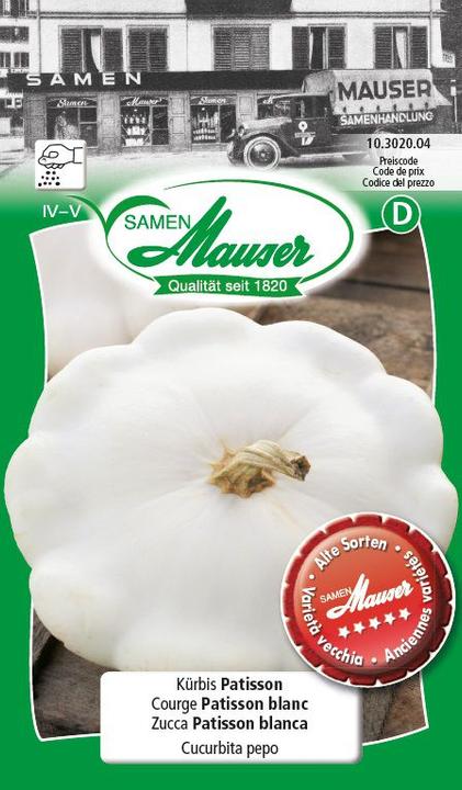 Produktbild Samen Mauser Kürbis Patisson (Gemüsesamen)