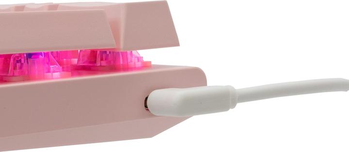 Image du produit Shark GK-002421 Wakizashi rose US Blue Switches (US, Filaire)