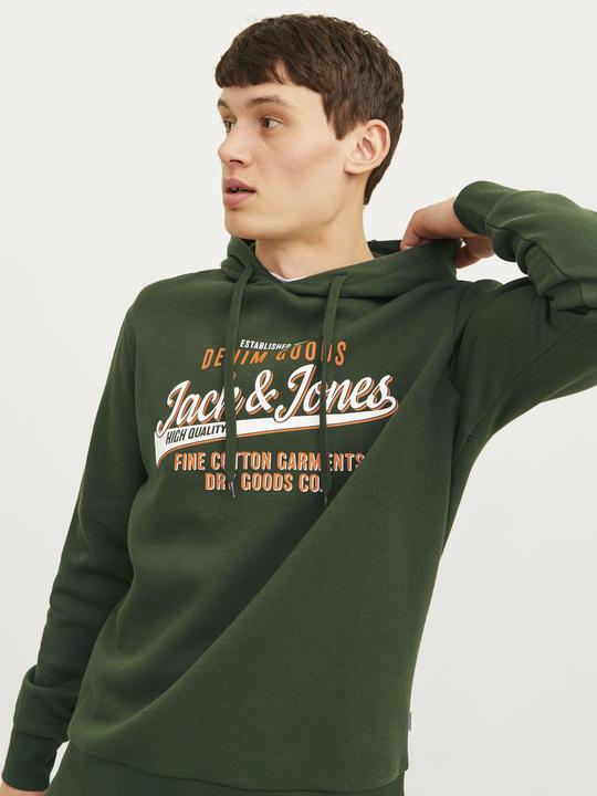Actual product image Jack & Jones JJELOGO SWEAT HOOD 2 COL 24/25 NOOS (XS)