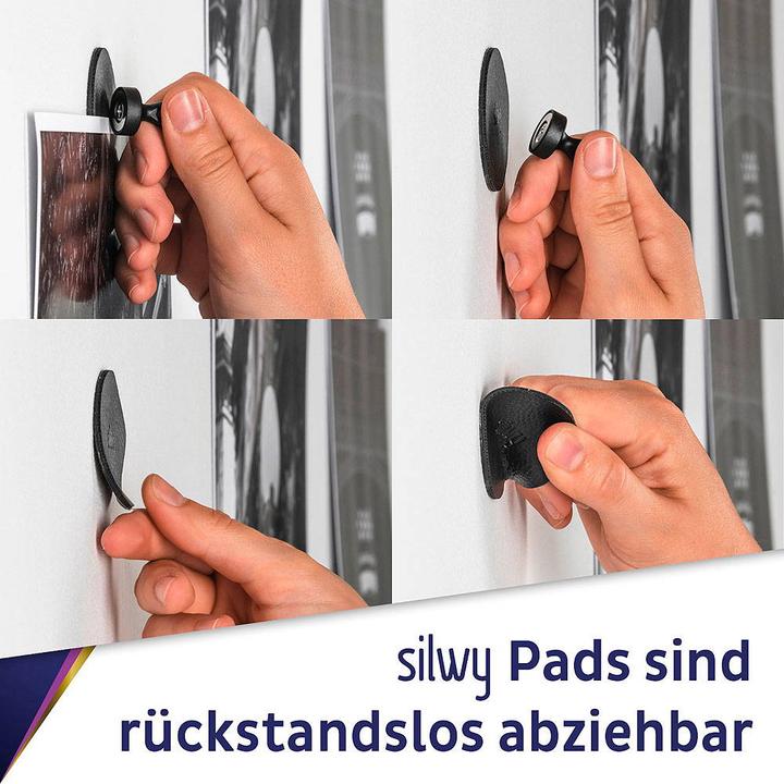 Actual product image Silwy Hook Magnet Pins Smart (1 x)