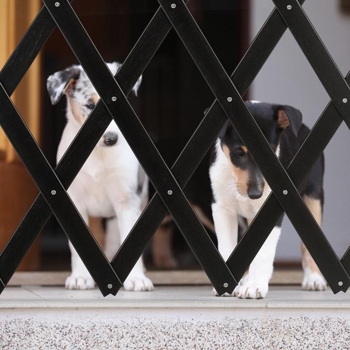 Image du produit Relaxdays Hundeabsperrgitter (1.50 cm)