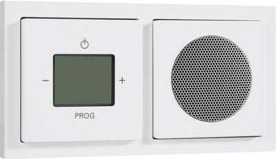 Actual product image Busch-Jaeger BJ 8220-84 UP-DigitalRadio complete set