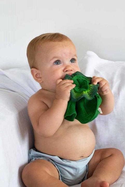 Actual product image Oli and Carol Mini Doudou - Teether Kendall the Kale