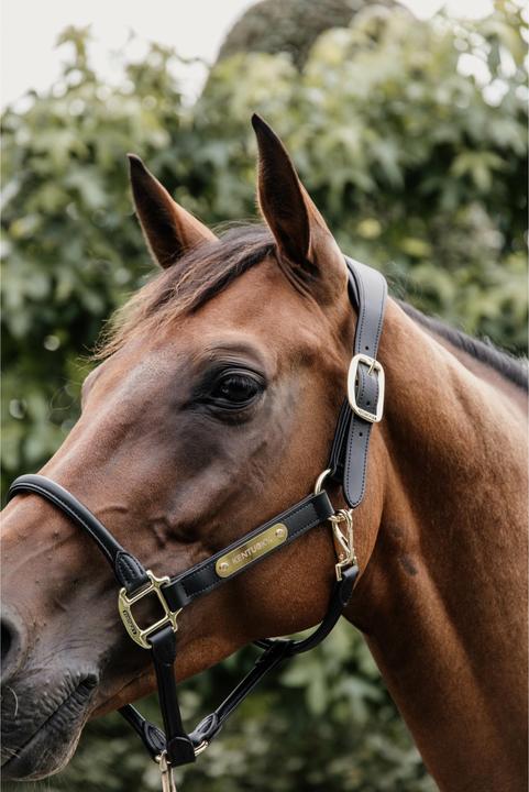 Immagine prodotto Kentucky Horsewear Copricapo per cavezza anatomica in cuoio