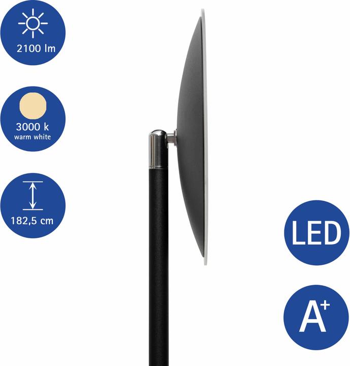 Immagine prodotto Maul Lampada da terra a LED MAULsphere, altezza 1825 mm, 2100 lumen, 26 W, nero opaco (2100 lm)