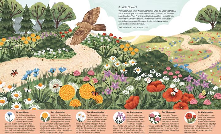 Produktbild Kleine Geheimnisse der Natur - Wald und Wiese (Deutsch, Kaja Kajfež, Stütze & Vorbach, 2022)