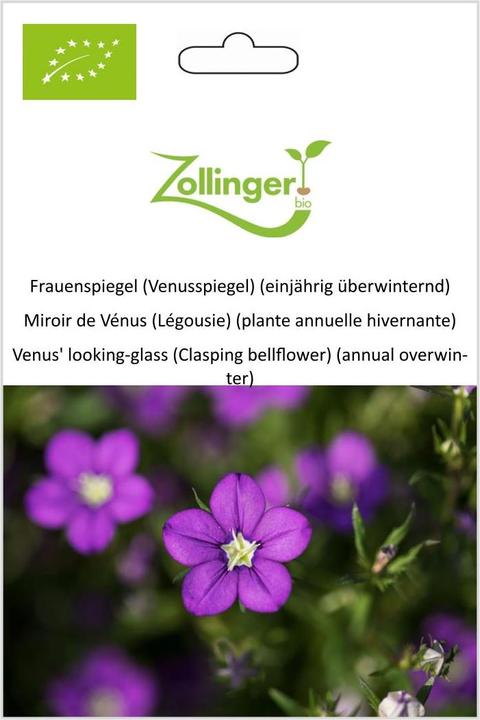 Produktbild Zollinger Bio Frauenspiegel (Venusspiegel) (einjährig überwinternd) (Blumenzwiebel)