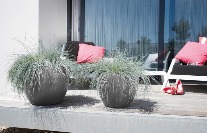 Image du produit Elho Pure Soft (49 cm)
