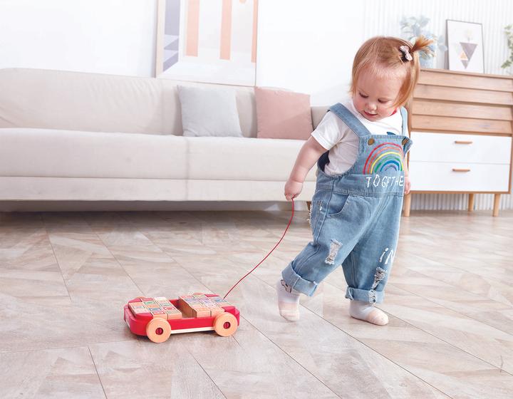 Actual product image Hape Letter blocks in the pull-along trolley